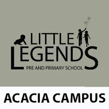 Little Legends Pre and Primary School
