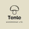 Tente Mushrooms