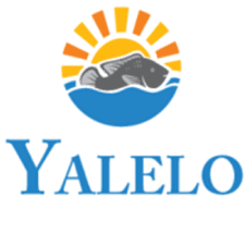Yalelo