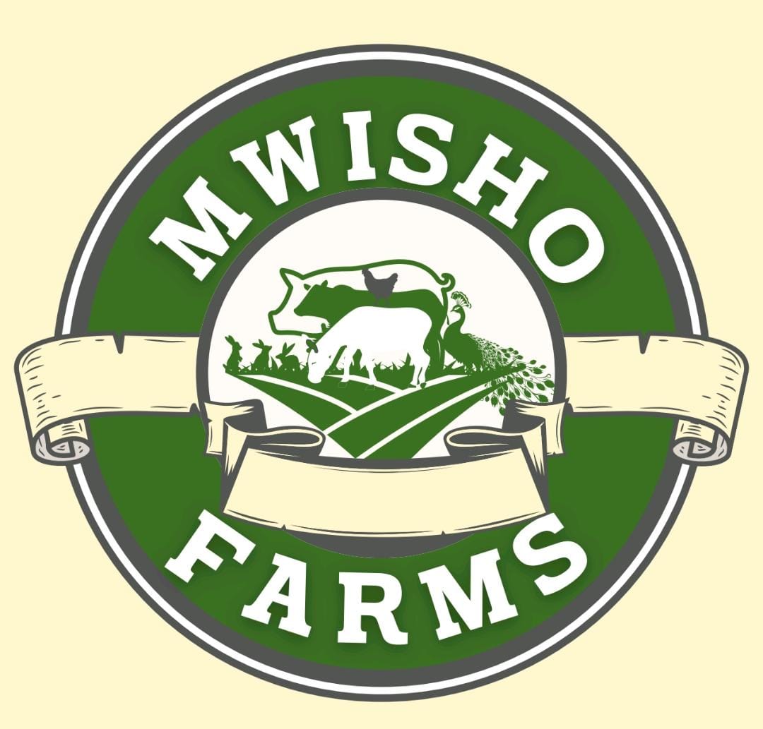 Truck Driver at Mwisho Farms Jobs in Zambia 2024