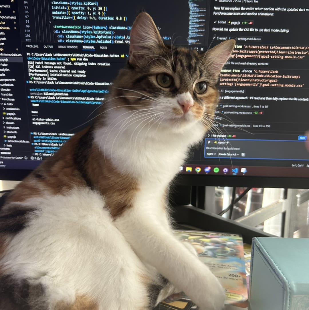Cat spotted by zack