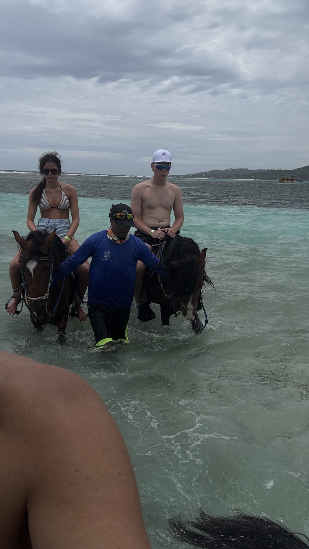Horse spotted by jesskatecarroll