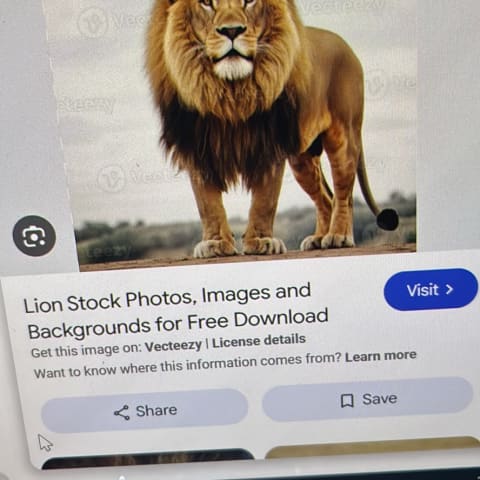 Lion