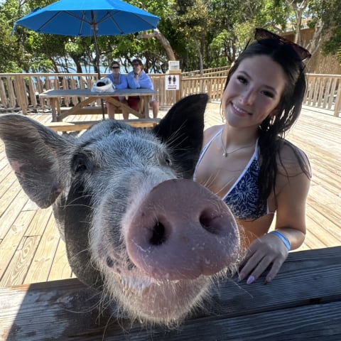 Pig spotted by jesskatecarroll