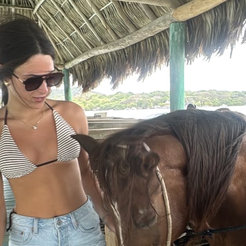 Horse spotted by jesskatecarroll