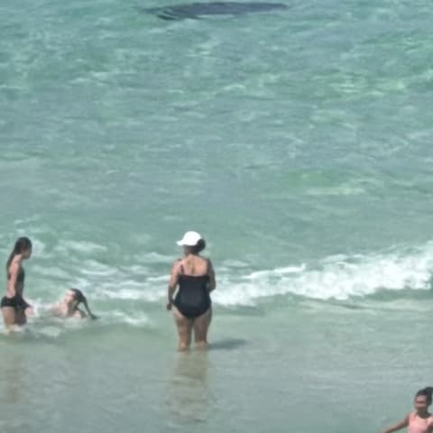 Manta Ray spotted by jesskatecarroll