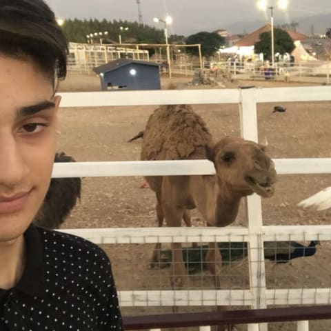 Camel