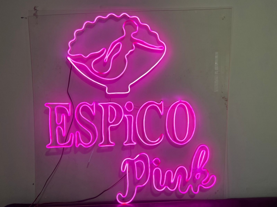 Espicopink logo