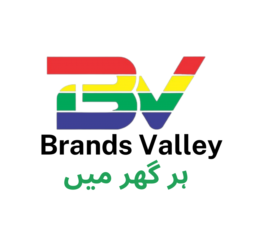 BrandsValley logo