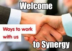 Synergy Business Consulting logo
