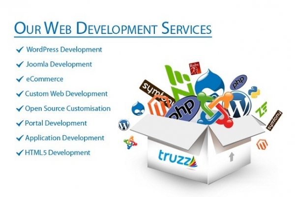 DNS Pak - Web Design and Development Services logo