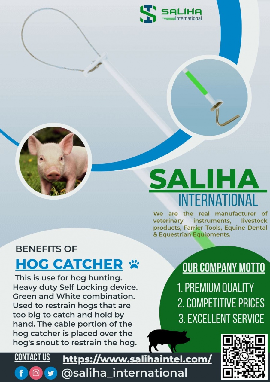 Saliha International logo