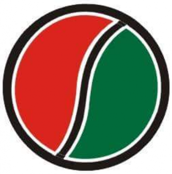 Daehan LED Lighs logo