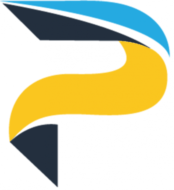 Paksa IT Solutions Pvt Limited logo