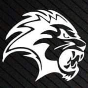 IT jUNGLE logo