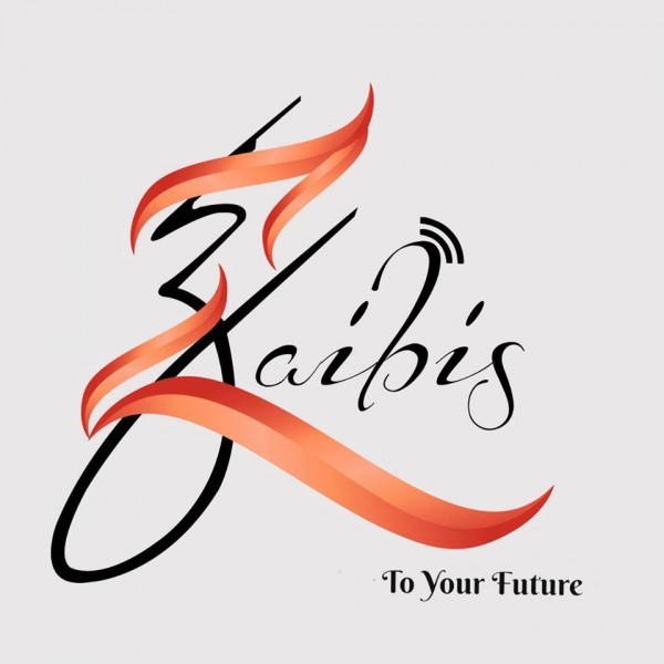 Zaibis Electronics logo