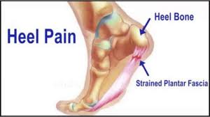 Foot comfort service logo