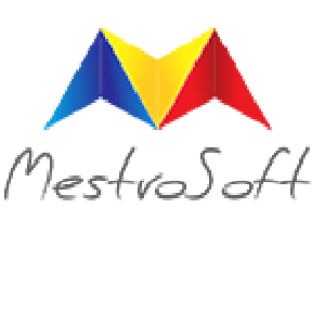 MestroSoft.pk logo