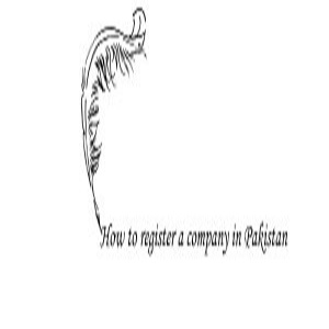 S & F Consulting Firm Limited logo