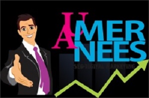 Umer Anees Seo Services Company in Lahore logo