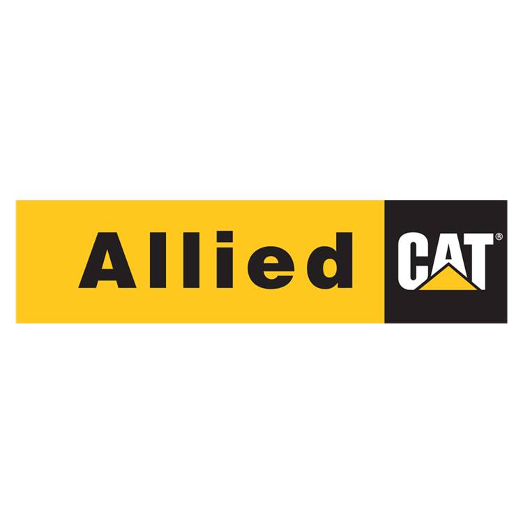 Allied Engineering & Services Ltd. logo