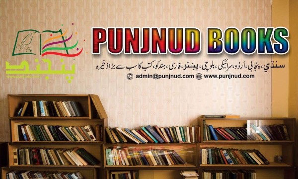 Punjnud Solutions logo