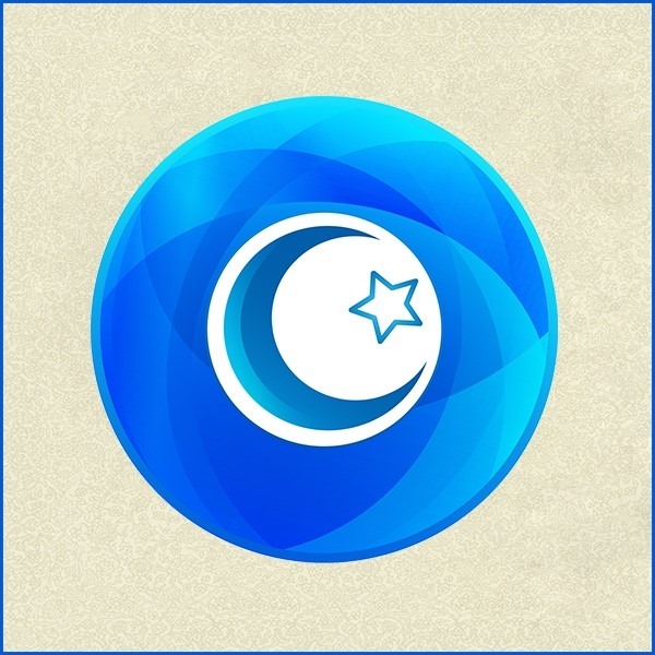 Mesoft WorldWide logo