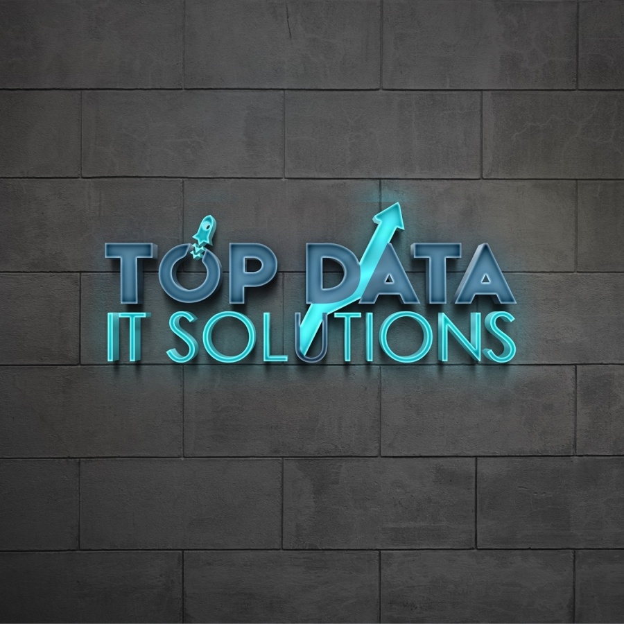 TopData IT Solutions logo