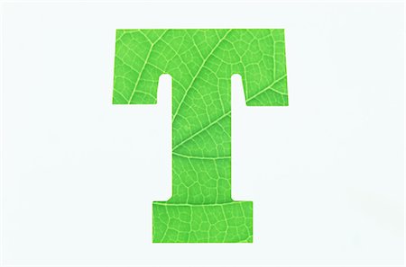 Tour Menia logo