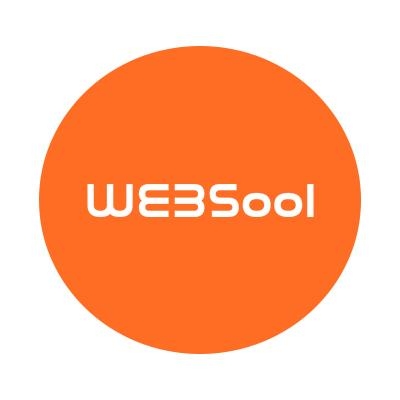 Websool logo