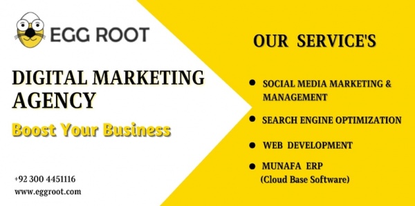 Egg Root Best Digital Marketing Agency logo