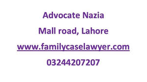 Familycaselawyer logo