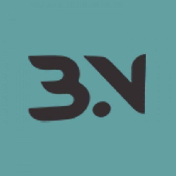 SEO Services Pakistan | BaisNaqvi Digital logo