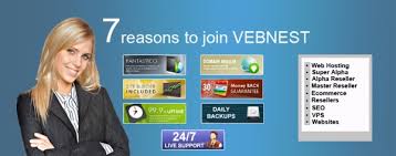 Vebnest.com logo