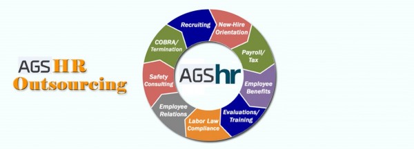AGNS Manpower Recruitment Company logo