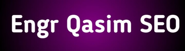 Engr Qasim SEO logo