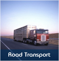 SPEEDY FREIGHT INTER logo