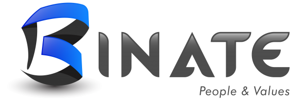 Binate digital logo