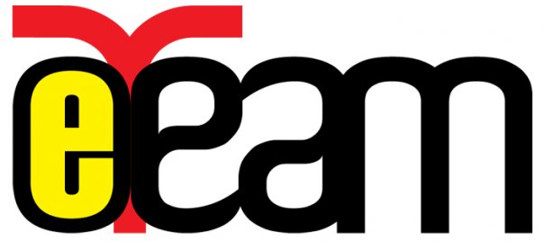 Enterprise Team logo