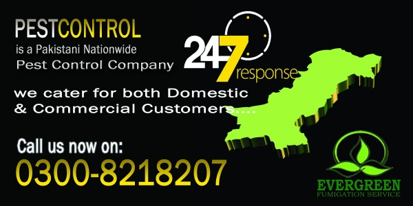 EverGreen Fumigation Services logo