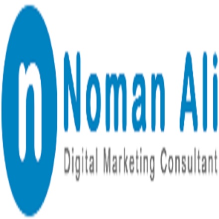 Noman Ali - SEO Consultant Karachi logo