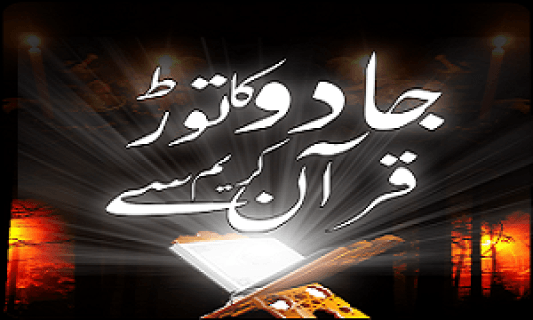 Sabeel Shah logo