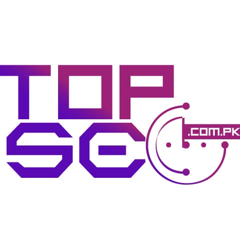 Topseo.com.pk LTD logo