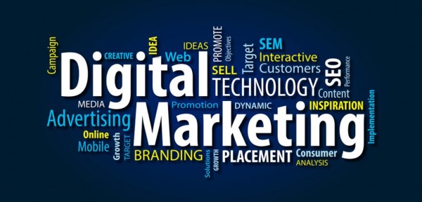 Digital Marketing Agency in pakistan logo
