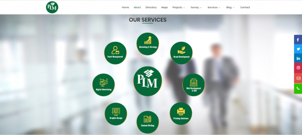 PakLand Marketing Pvt.Ltd logo