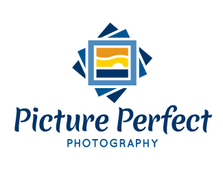 Professional Photographer logo