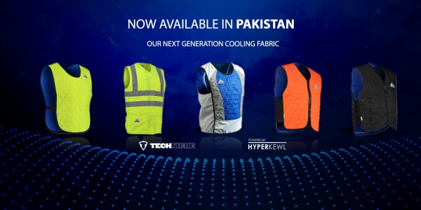 TechNiche Pakistan logo