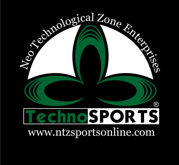 NTZ Enterprises logo