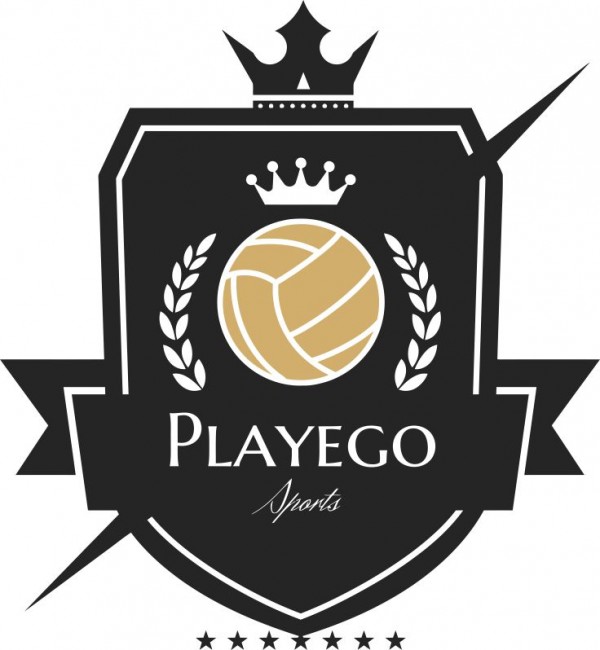 Playego Sports logo