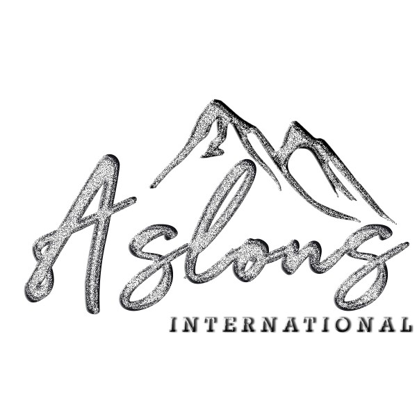 Aslons International logo
